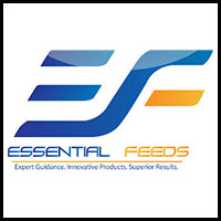 Essential Feeds